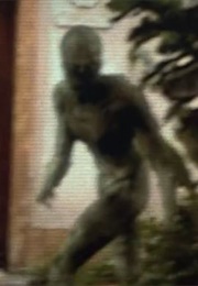 Walking With Aliens ("Signs") (2002)