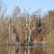 Recreatieplas Hanevoet