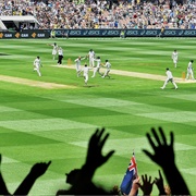 See a Cricket Match at the MCG