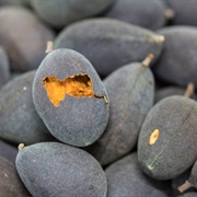 Velvet Tamarind (Dialium Cochinchinense)