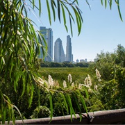 Costanera Sur Ecological Reserve, Buenos Aires