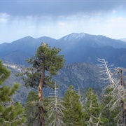 San Gabriel Mountains, CA (USFS)