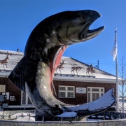 National Trout Memorial