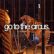 Go to the Circus