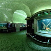 Belle Isle Aquarium