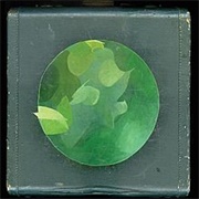 Circulatory System - Mosiacs Within Mosiacs