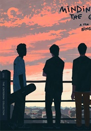 Minding the Gap (2018)