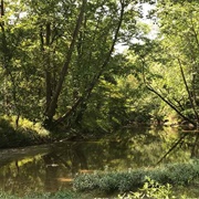 Clear Creek State Nature Preserve