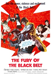 The Fury of the Black Belt (1973)