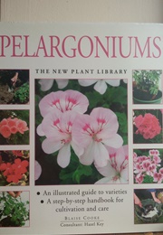 Pelargoniums (Blaise Cooke)