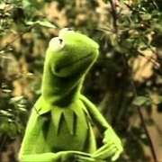 It's Not Easy Being Green