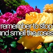 Remember to Stop and Smell the Roses