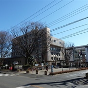 Higashimurayama, Japan