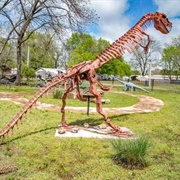 Erie Dinosaur Park