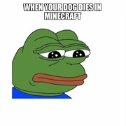 Your Minecraft Dog Dying
