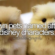 Own a Pet Named After Disney Character