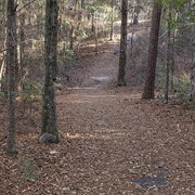 Bogue Chitto State Park