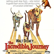 The Incredible Journey