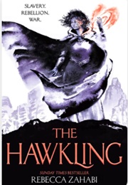 The Hawkling (Rebecca Zahabi)