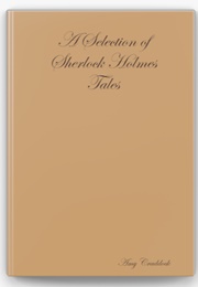 The Travels of Emile Sigerson (Amy Craddock)