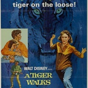 A Tiger Walks