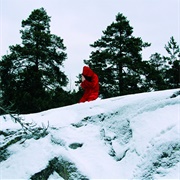 Cosmic Church - Ylistys