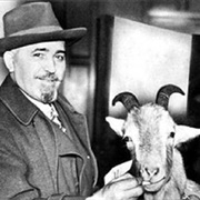 Curse of the Billy Goat on Chicago Cubs