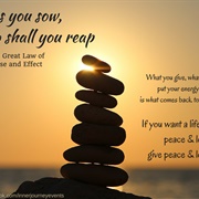 As You Sow, So You Shall Reap