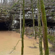 Russell Cave National Monument