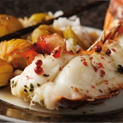 Longouste a La Vanille (Comoros)