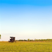 Amish Country