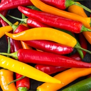 How Chili Peppers Work