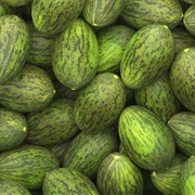 Santa Claus Melon