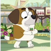 St. Bernard Customer