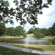 Aarhus University Lake
