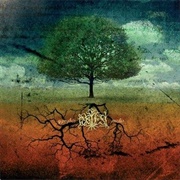 Obtest - Gyvybės Medis