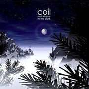 Musick to Play in the Dark - Coil