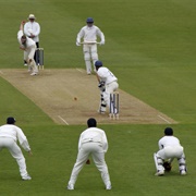 Attend a Cricket Game