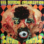 Vas Deferens Organization - Saturation