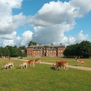 Dunham Massey Deer Park, Cheshire