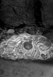 The Space Children (1958)