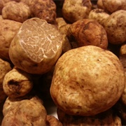 Oregon White Truffle (Tuber Oregonense)