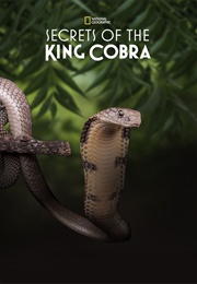 Secrets of the King Cobra (2010)