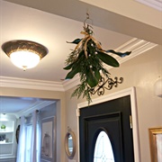 Mistletoe