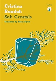 Salt Crystals (Cristina Bendek)