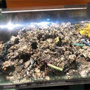 The Fatberg at the Michigan Science Center