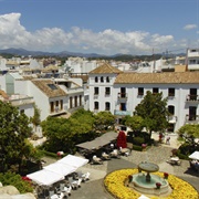 Plaza De Las Flores