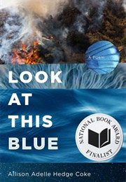 Look at This Blue (Allison Adelle Hedge Coke)