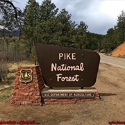 National Forest