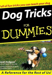 Dog Tricks for Dummies (Sarah Hodgson)